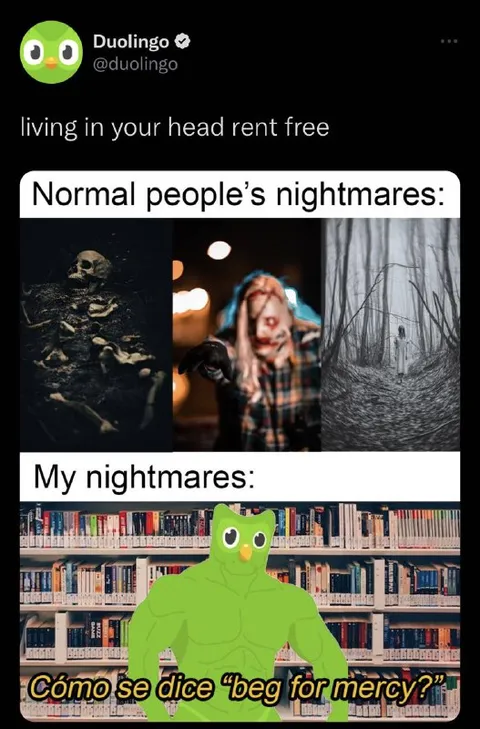 Duolingo Nightmare About Begging