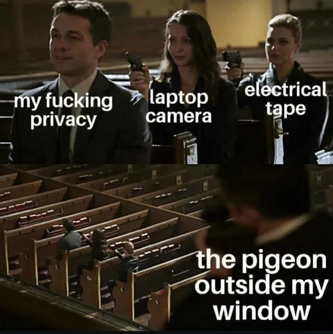 Pigeon Outside My Window