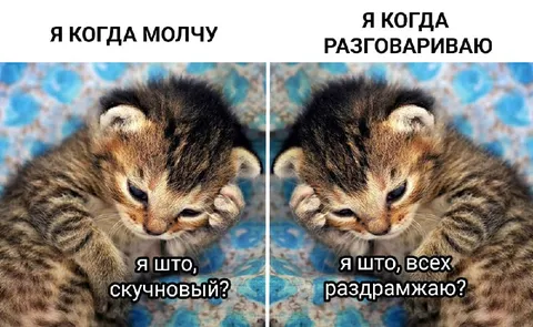 Кот когда молчу и разговариваю