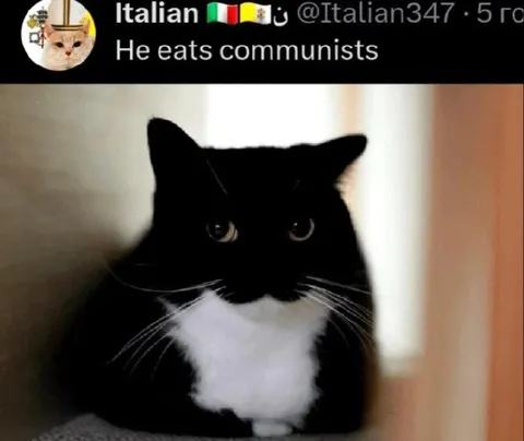 Cat Eats Communists