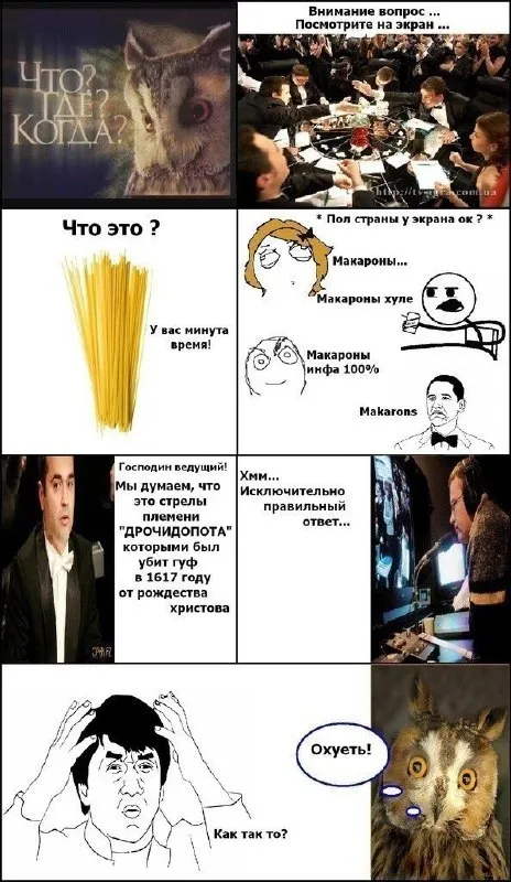 Макароны и правильный ответ