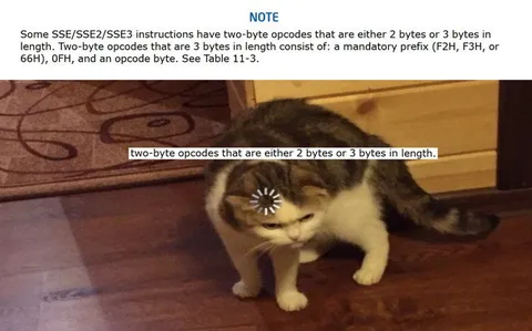 Cat Struggles With Two-Byte Opcodes