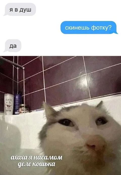 Я в душ, скинешь фотку?