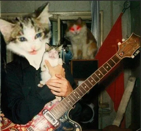 Кот-гитарист с котёнком