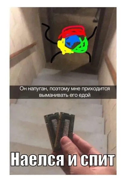 Выманил едой и уложил спать