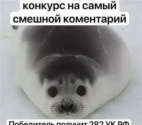 Конкурс на самый смешной комментарий