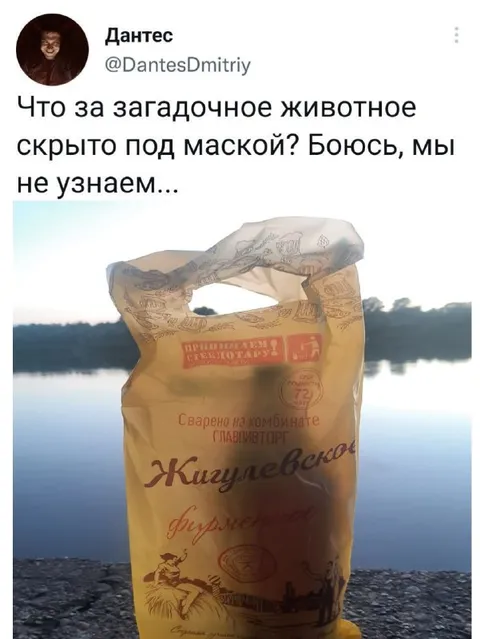 Загадочное животное под маской