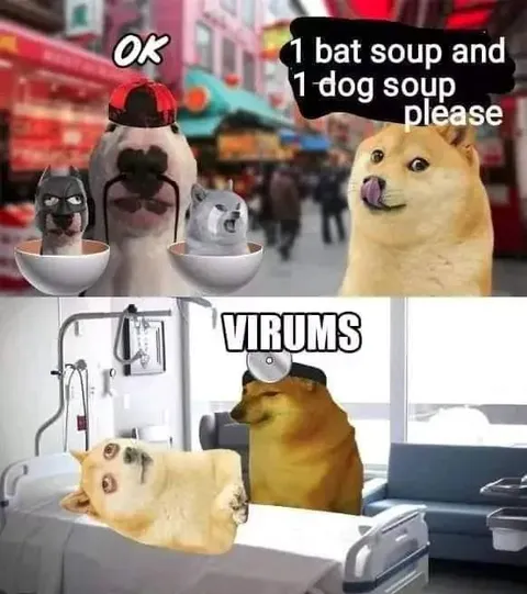 Dog Orders Bat Soup