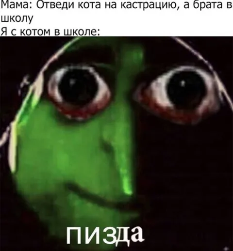 Кот вместо брата в школе