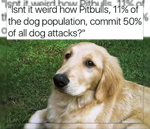Pitbull Statistics Dog Reaction