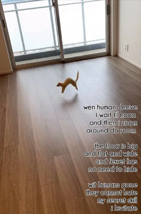 Ferret Levitation Secret Skill