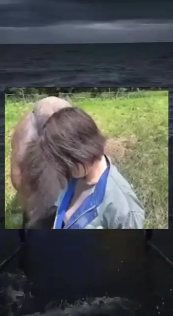 Лошадь внезапно пугает девушку