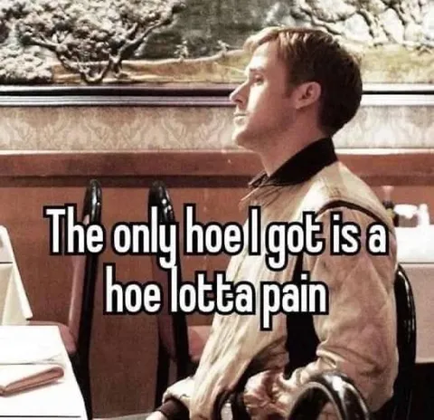 The Only Hoe I Got