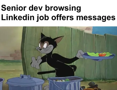Senior Developer Browsing LinkedIn Messages