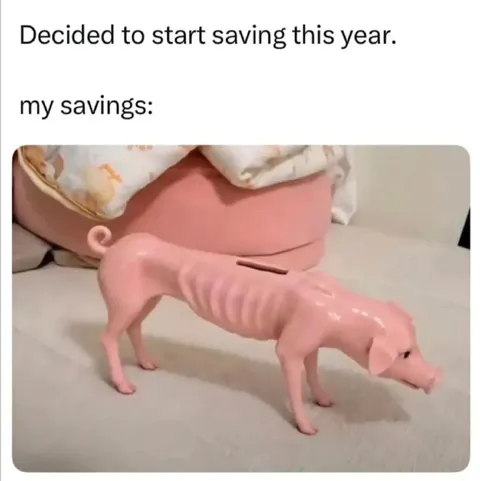 My Savings This Year