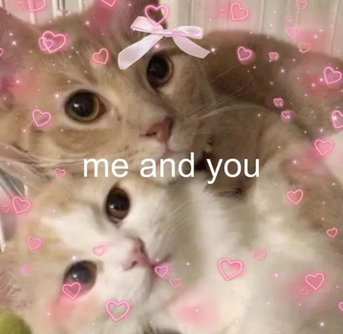 Me and You Kittens