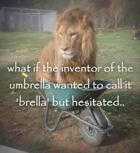 The Hesitant Umbrella Inventor