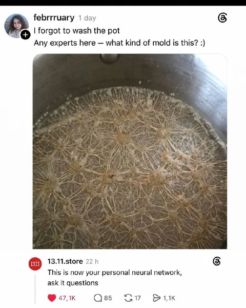 Personal Neural Network Mold