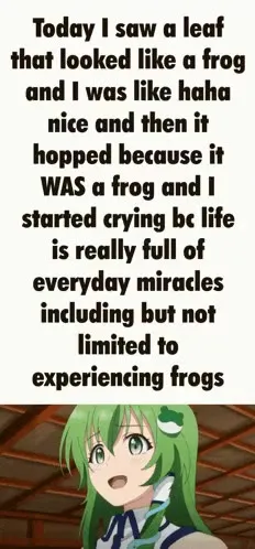 Everyday Miracles Include Frogs