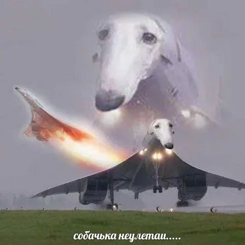 Собачка не улеташ