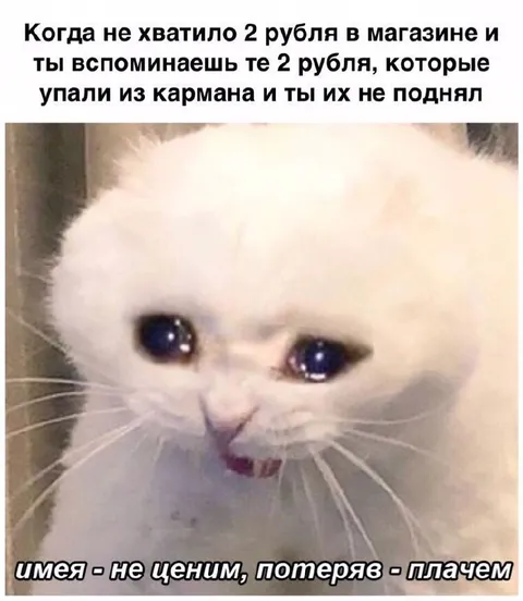Кот плачет о потерянных двух рублях