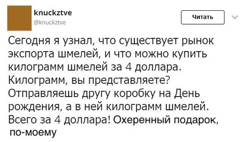 Килограмм шмелей за 4 доллара