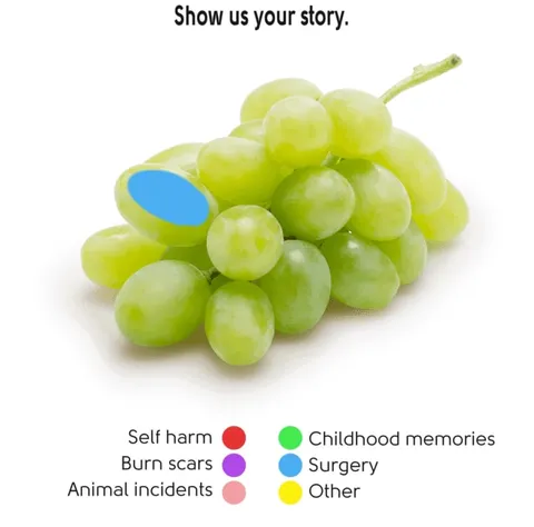 Grape Shows Its Story