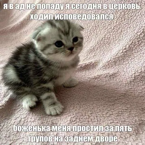 Пять трупов на заднем дворе