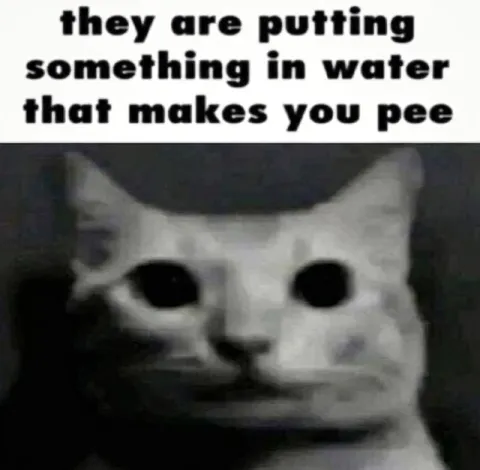 They Are Putting Something in Water