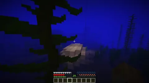 Находка в океане Minecraft