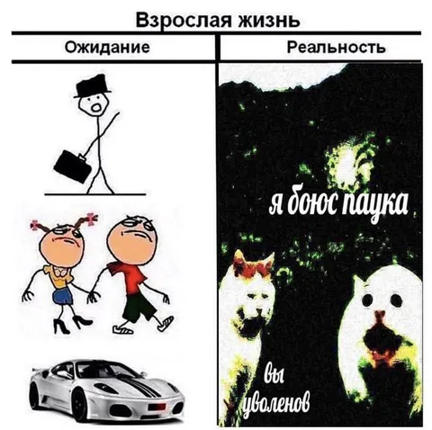 Взрослая жизнь: ожидание и реальность