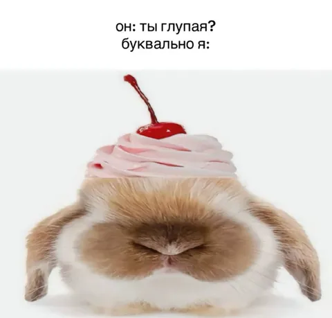 Буквально я, когда глупая