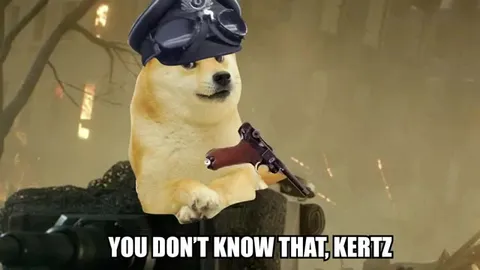 Doge War Tragedy