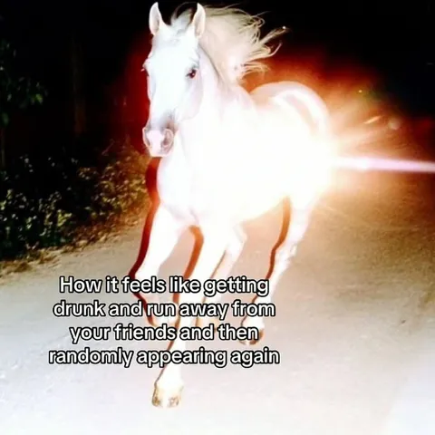 Drunk Friends Escape Horse