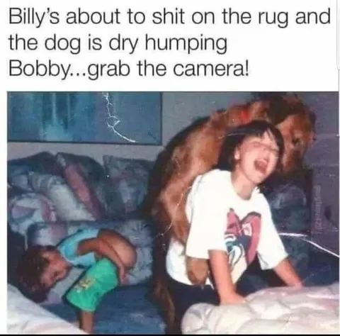 Dog Dry Humping During Chaos