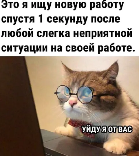 Кот увольняется после неприятностей