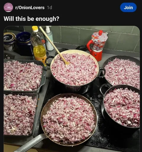 Will This Be Enough Onion?