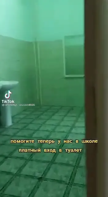Платный туалет в школе