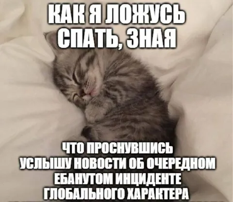 Спокойный сон перед мировым инцидентом