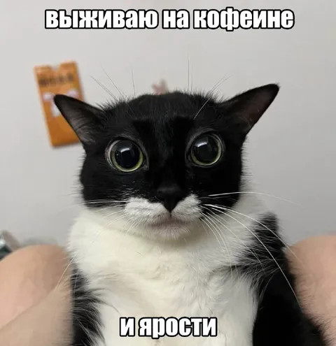Выживаю на кофеине и ярости