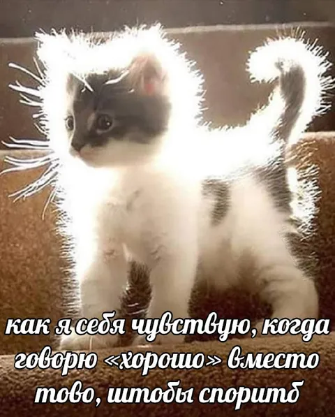 Когда говоришь «хорошо» вместо спора