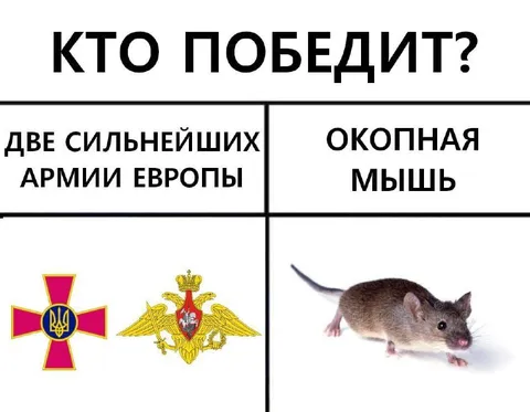 Кто победит: армии Европы или мышь
