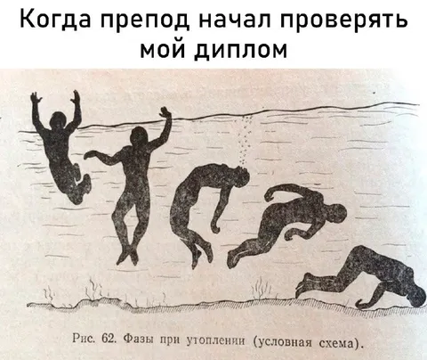 Когда проверяют диплом