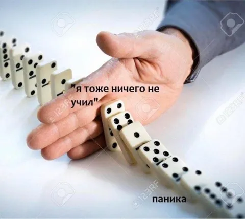 Я тоже ничего не учил