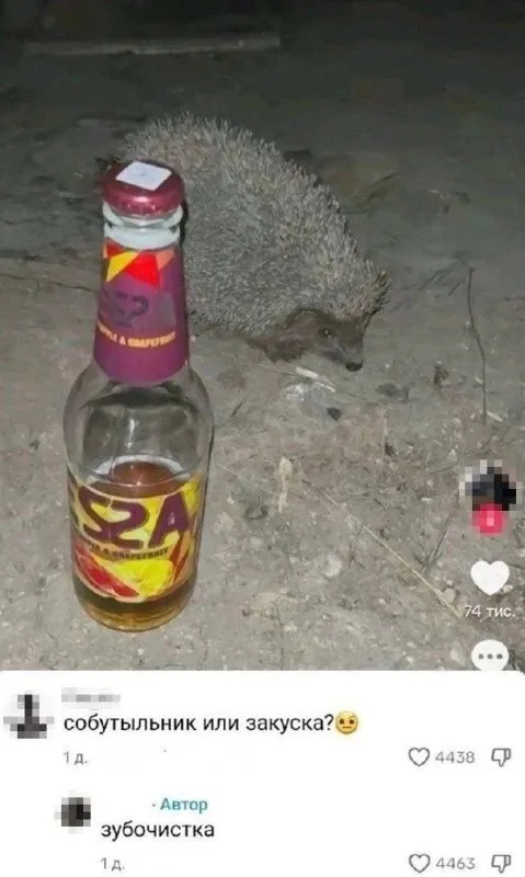 Собутыльник или закуска