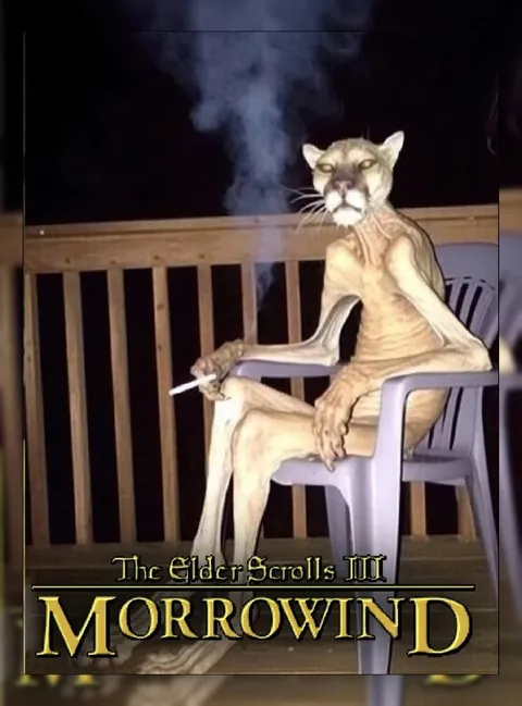Smoking Cat Morrowind