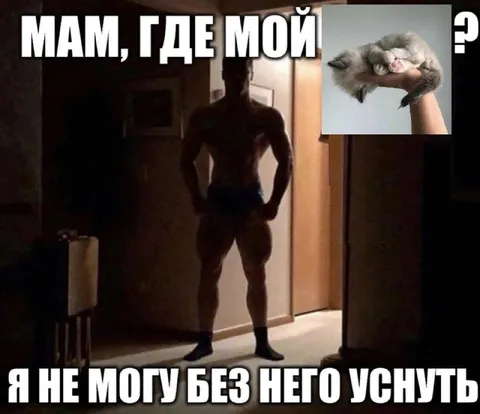 Мам, где мой кот