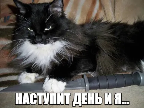 Наступит день и я