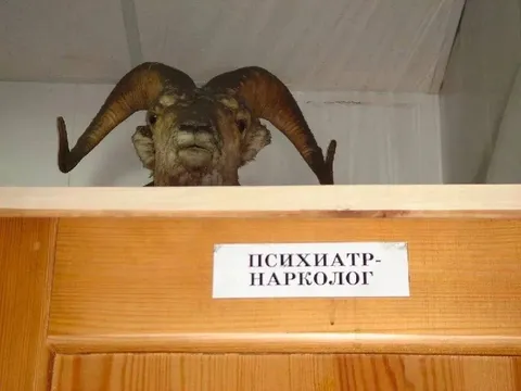 Психиатр-нарколог за дверью