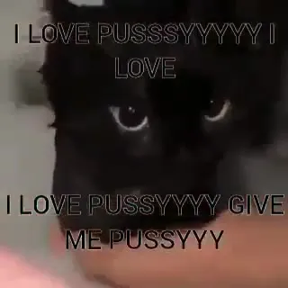 Black Cat Begging for Pussy
